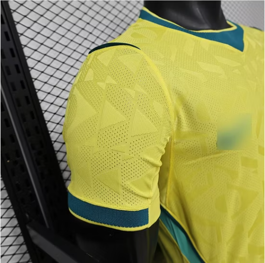 Camiseta Brasil
